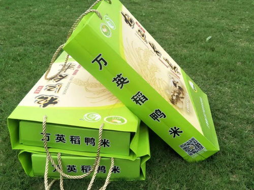 松江大米香飄申城 探訪優秀產銷聯合體與批發新格局