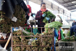 濟(jì)南憑雙證才能賣韭菜 出問題直接找源頭，食用農(nóng)產(chǎn)品批發(fā)市場嚴(yán)把安全關(guān)
