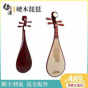 762組琵琶民族樂器圖片賞析 傳統與創新的完美交融